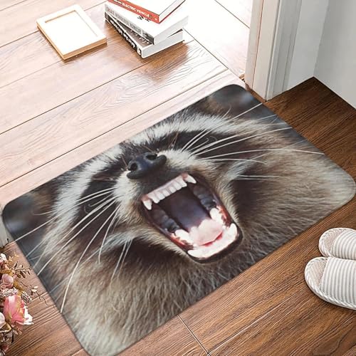 TPDODON Waschbär knurrende Fußmatte für die Vordertür rutschfest saugfähig für den Innenbereich Müll Panda Waschbär Fußmatte Wohnzimmer Eingangsbereich Teppich-24x36 inch TPDODON Waschbär knurrende Fußmatte für die Vordertür rutschfest saugfähig für den Innenbereich Müll Panda Waschbär Fußmatte Wohnzimmer Eingangsbereich Teppich-24x36 inch von TPDODON
