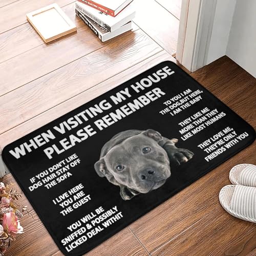 TPDODON Wenn Sie Mein Haus besuchen Denken Sie Bitte daran Hunde-Fußmatte rutschfeste Bade-/Küchenmatte Garten-/Garagentor-/Tür-/Eingangsteppich-20x32 inch von TPDODON