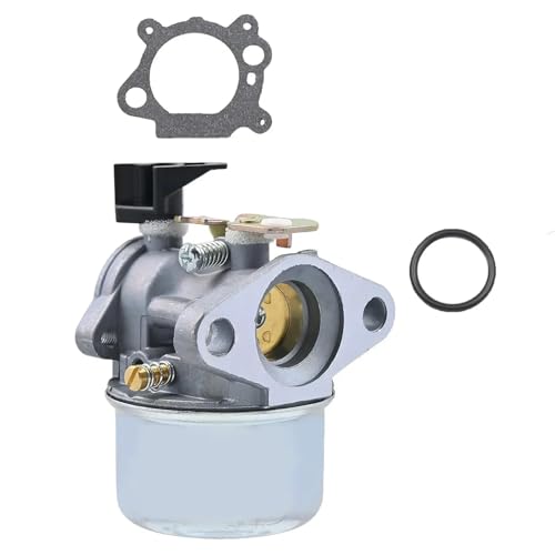 Vergaser for Quantum 675 Serie for Br-iggs & Stratton 498965 494216 493422 494971 Werkzeug Zubehör Vergaser Rasenmäher Motor von TPEIHUNG