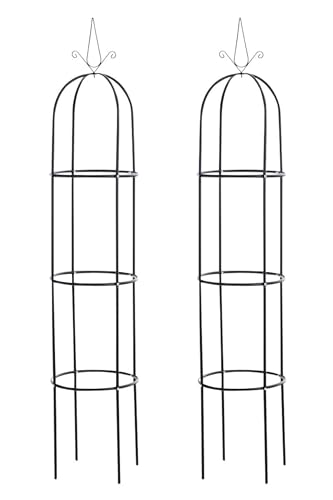 TPFGarden 2er Set Rosensäule Roman II schwarz von TPFGarden