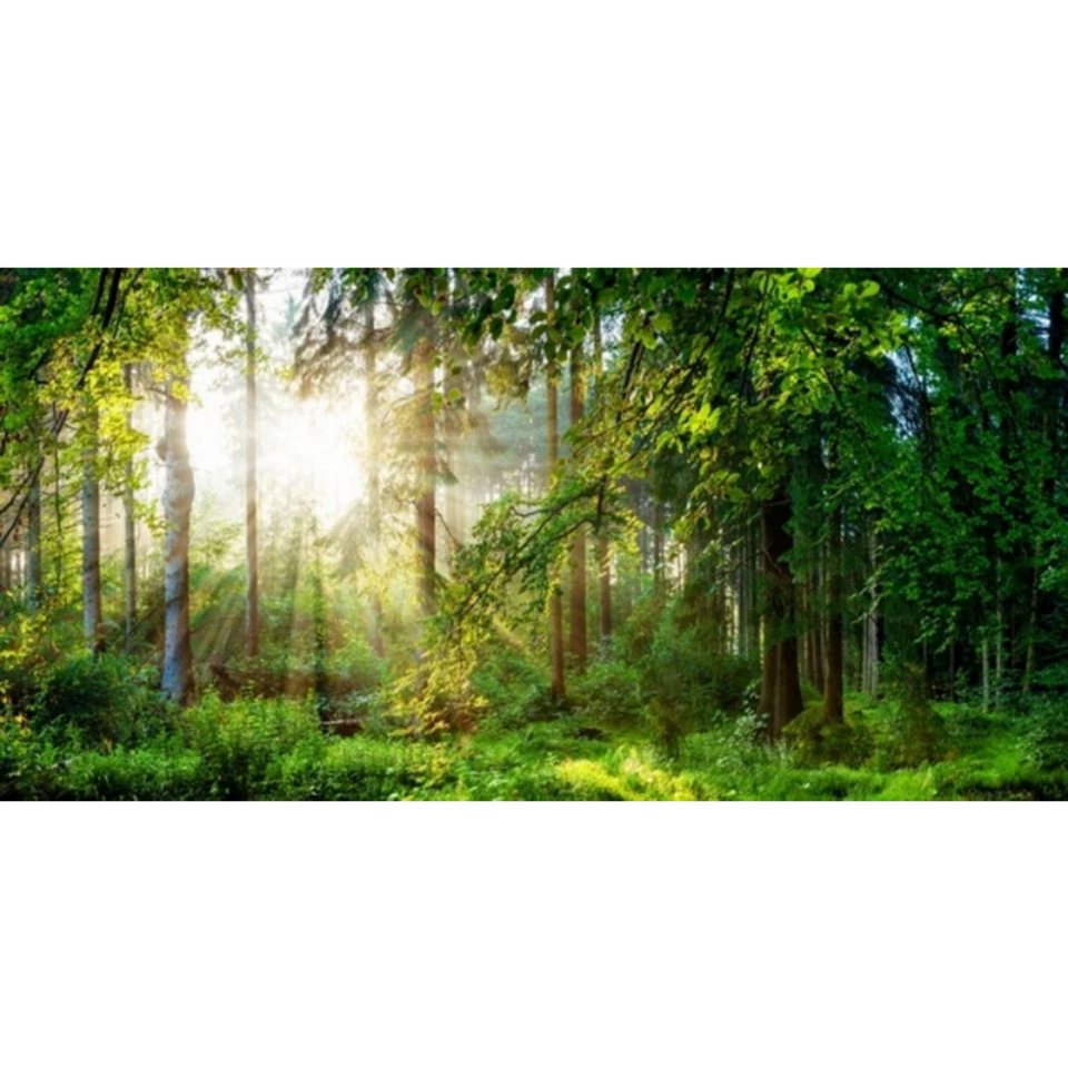 TPFLiving Kunstdruck (OHNE RAHMEN) Poster - Leinwand - Wandbild, Grünes Baum-Wald-Natur-Landschafts-Leinwandgemälde (Leinwandbild XXL), Farben: Grün, Gelb, Schwarz, Braun, Weiß -Größe: 20x40cm von TPFLiving