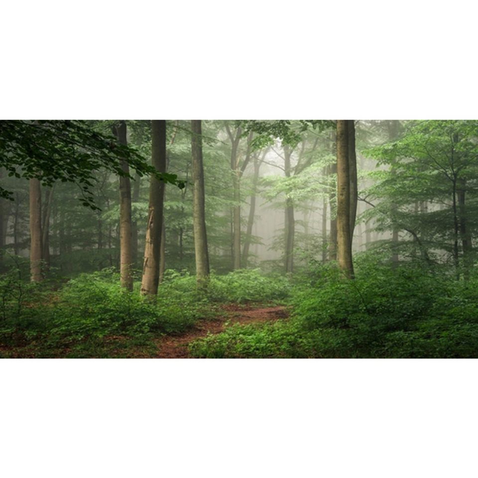 TPFLiving Kunstdruck (OHNE RAHMEN) Poster - Leinwand - Wandbild, Grünes Baum-Wald-Natur-Landschafts-Leinwandgemälde (Leinwandbild XXL), Farben: Grün, Gelb, Schwarz, Braun, Weiß -Größe: 20x40cm von TPFLiving