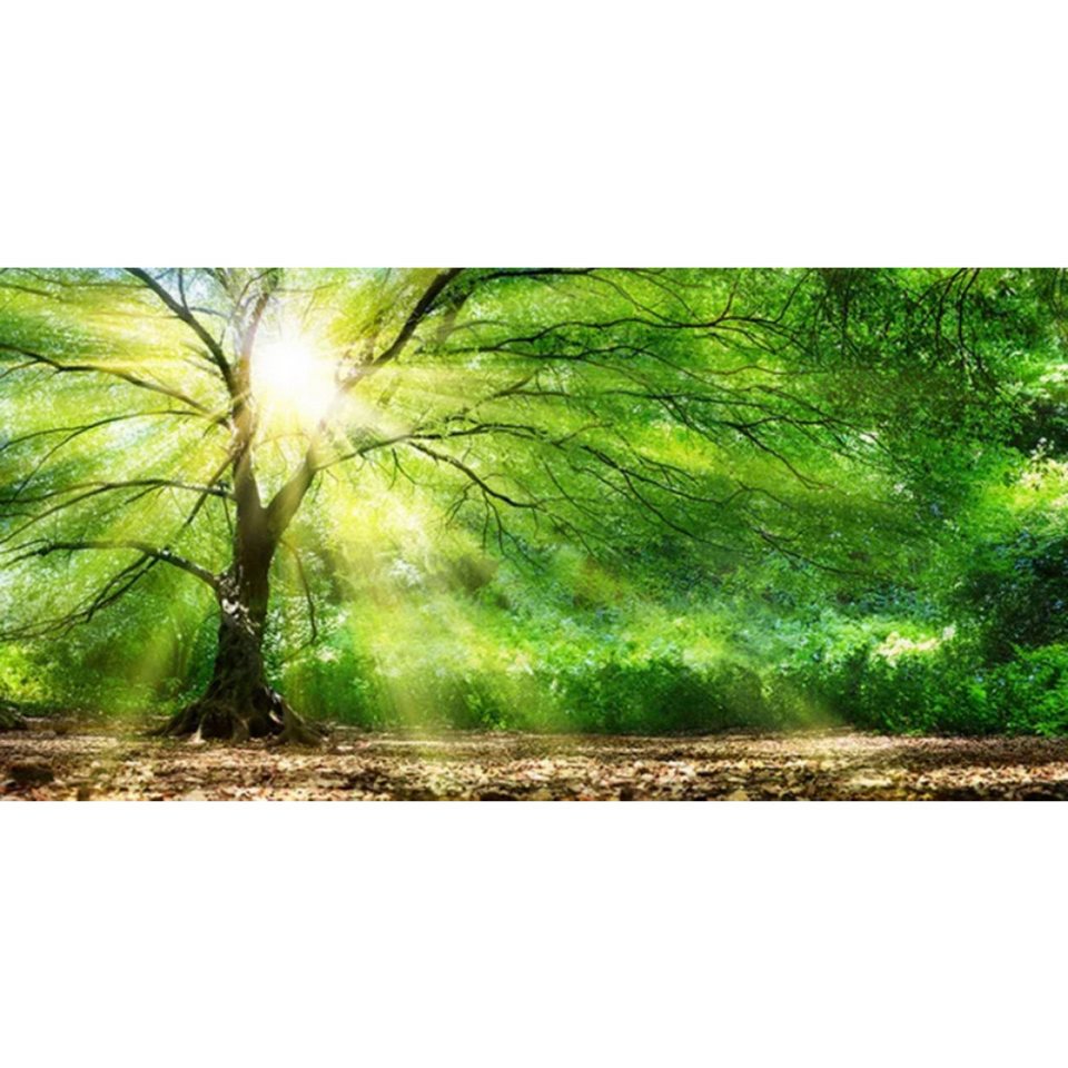 TPFLiving Kunstdruck (OHNE RAHMEN) Poster - Leinwand - Wandbild, Grünes Baum-Wald-Natur-Landschafts-Leinwandgemälde (Leinwandbild XXL), Farben: Grün, Gelb, Schwarz, Braun, Weiß -Größe: 30x60cm von TPFLiving
