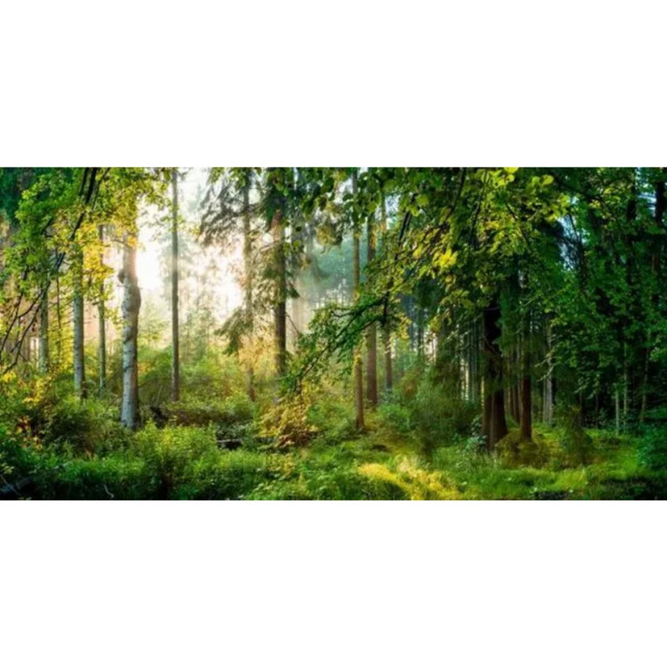 TPFLiving Kunstdruck (OHNE RAHMEN) Poster - Leinwand - Wandbild, Grünes Baum-Wald-Natur-Landschafts-Leinwandgemälde (Leinwandbild XXL), Farben: Grün, Gelb, Schwarz, Braun, Weiß -Größe: 40x80cm von TPFLiving
