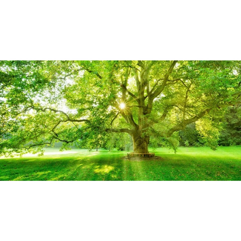 TPFLiving Kunstdruck (OHNE RAHMEN) Poster - Leinwand - Wandbild, Grünes Baum-Wald-Natur-Landschafts-Leinwandgemälde (Leinwandbild XXL), Farben: Grün, Gelb, Schwarz, Braun, Weiß -Größe: 40x80cm von TPFLiving
