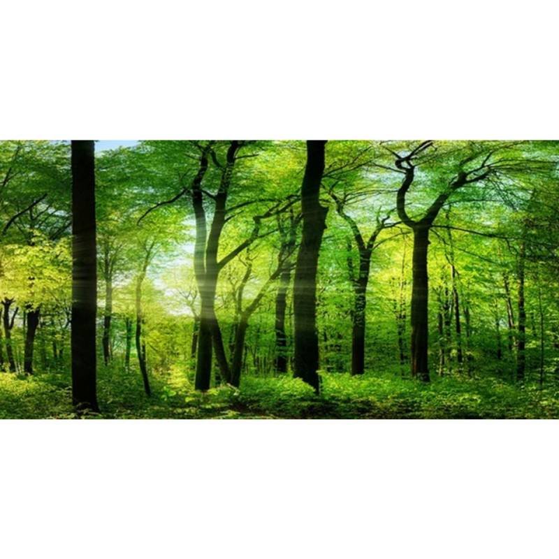 TPFLiving Kunstdruck (OHNE RAHMEN) Poster - Leinwand - Wandbild, Grünes Baum-Wald-Natur-Landschafts-Leinwandgemälde (Leinwandbild XXL), Farben: Grün, Gelb, Schwarz, Braun, Weiß -Größe: 40x80cm von TPFLiving