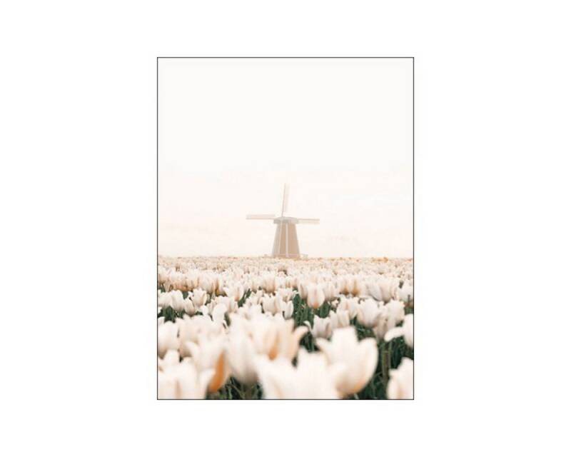 TPFLiving Kunstdruck (OHNE RAHMEN) Poster - Leinwand - Wandbild, Landschaften und Natur - 12 Motive und in 14 Größen zur Auswahl - (Wanddeko Wohnzimmer), Farben: Braun, Beige und Weiß - Größe: 10x15cm von TPFLiving