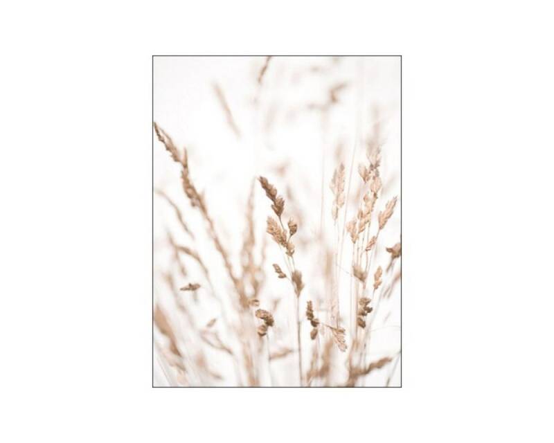 TPFLiving Kunstdruck (OHNE RAHMEN) Poster - Leinwand - Wandbild, Landschaften und Natur - 12 Motive und in 14 Größen zur Auswahl - (Wanddeko Wohnzimmer), Farben: Braun, Beige und Weiß - Größe: 13x18cm von TPFLiving