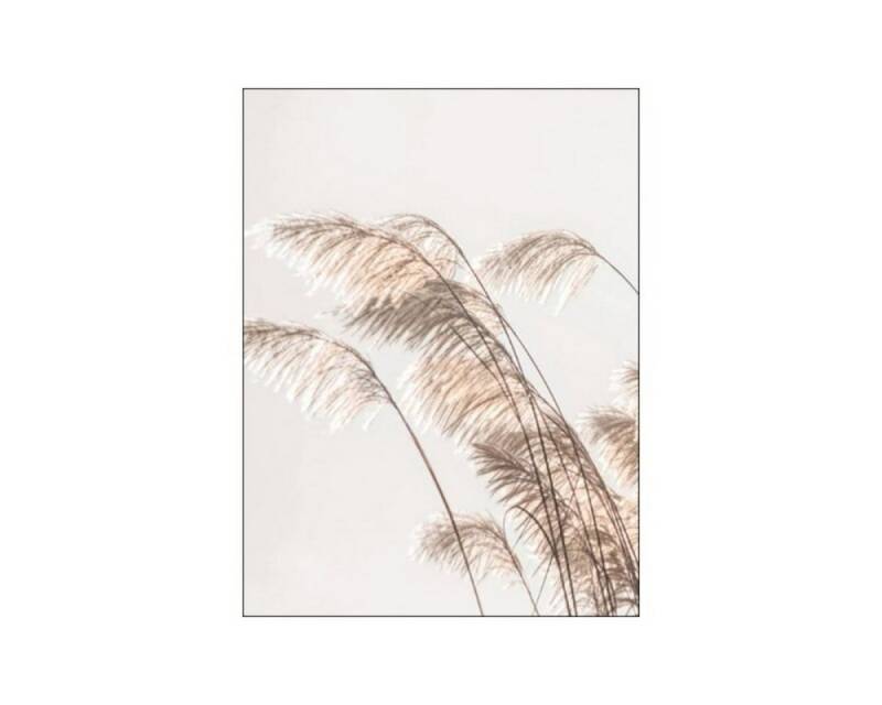TPFLiving Kunstdruck (OHNE RAHMEN) Poster - Leinwand - Wandbild, Landschaften und Natur - 12 Motive und in 14 Größen zur Auswahl - (Wanddeko Wohnzimmer), Farben: Braun, Beige und Weiß - Größe: 15x20cm von TPFLiving