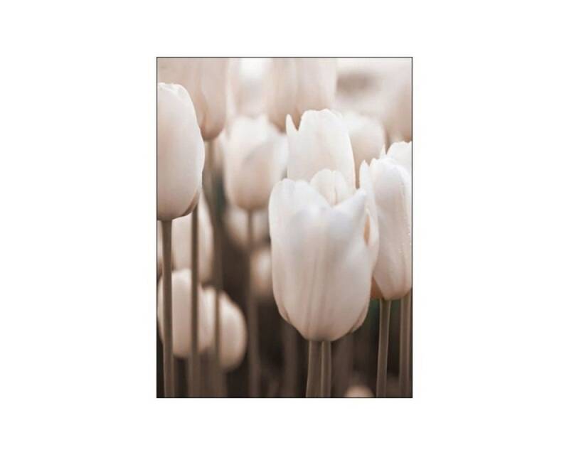 TPFLiving Kunstdruck (OHNE RAHMEN) Poster - Leinwand - Wandbild, Landschaften und Natur - 12 Motive und in 14 Größen zur Auswahl - (Wanddeko Wohnzimmer), Farben: Braun, Beige und Weiß - Größe: 30x40cm von TPFLiving