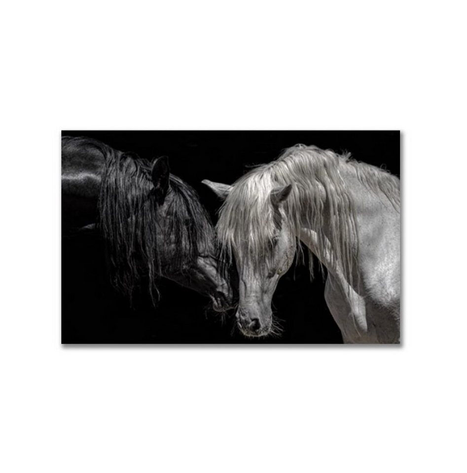 TPFLiving Kunstdruck (OHNE RAHMEN) Poster - Leinwand - Wandbild, Verträumtes Pferde Paar in schwarz und weiß (Verschiedene Größen), Farben: Leinwand bunt - Größe: 60x80cm von TPFLiving