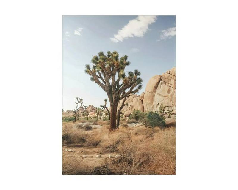 TPFLiving Kunstdruck (OHNE RAHMEN) Poster - Leinwand - Wandbild, Arizona Road Berge Kaktus Bäume Wasserfälle Auto See Leinwand (Leinwandbild XXL), Farben: Braun, Grün, Weiß, Grau, Gelb, Blau - Größe: 40x50cm von TPFLiving