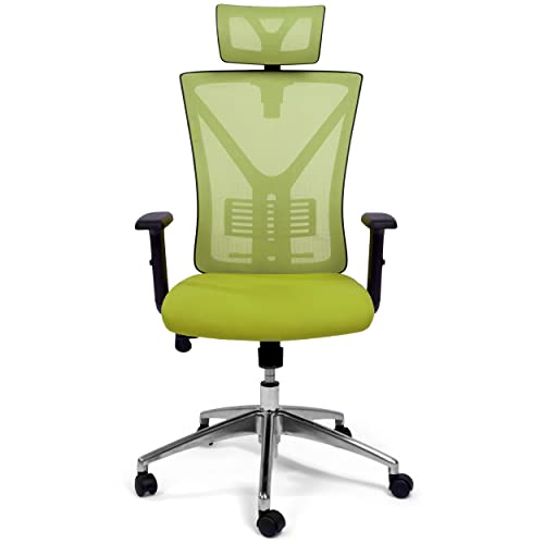 TPFLiving Premium XL Bürostuhl Zeus, ergonomischer Schreibtischstuhl | Inkl. verstellbare Lordosenstütze | Atmungsaktives Mesh-Material | Schwerlast Chefsessel | Belastbar bis 200 kg | Farbe: Grün von TPFLiving