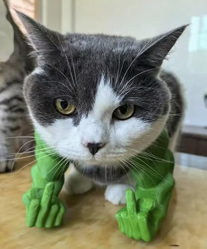 Katze Mit Muskulösen Armen - 3D-Gedrucktes Lustiges Haustierkostüm-Prop Für Katzen Und Kleine Hunde, Riesenhand-Muskel-Arm-Kostüm Für Katzen Zu Halloween Und Geburtstagspartys (grün, Finger) von TPFOON