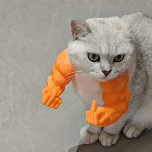Katze Mit Muskulösen Armen - 3D-Gedrucktes Lustiges Haustierkostüm-Prop Für Katzen Und Kleine Hunde, Riesenhand-Muskel-Arm-Kostüm Für Katzen Zu Halloween Und Geburtstagspartys (orange, Finger) von TPFOON