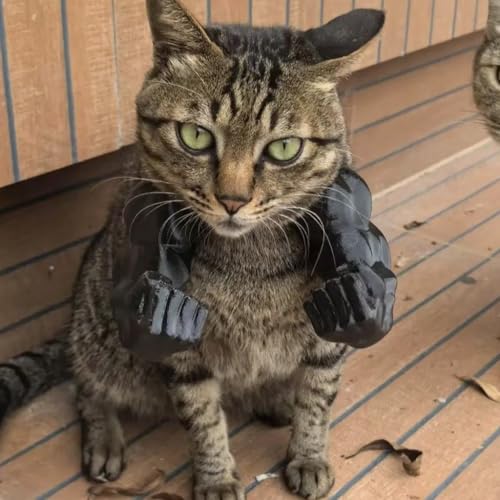 Katze Mit Muskulösen Armen - 3D-Gedrucktes Lustiges Haustierkostüm-Prop Für Katzen Und Kleine Hunde, Riesenhand-Muskel-Arm-Kostüm Für Katzen Zu Halloween Und Geburtstagspartys (schwarz, Faust) von TPFOON