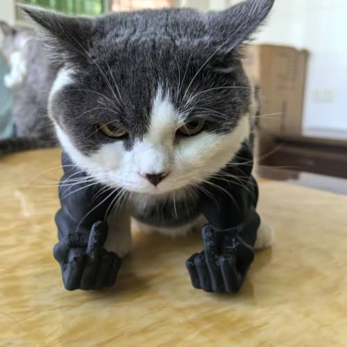 Katze Mit Muskulösen Armen - 3D-Gedrucktes Lustiges Haustierkostüm-Prop Für Katzen Und Kleine Hunde, Riesenhand-Muskel-Arm-Kostüm Für Katzen Zu Halloween Und Geburtstagspartys (schwarz, Finger) von TPFOON
