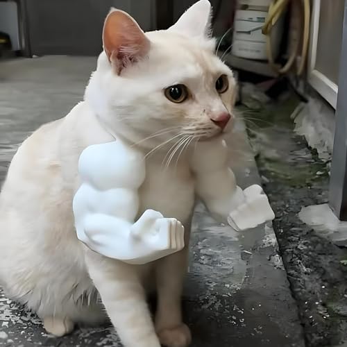 Katze Mit Muskulösen Armen - 3D-Gedrucktes Lustiges Haustierkostüm-Prop Für Katzen Und Kleine Hunde, Riesenhand-Muskel-Arm-Kostüm Für Katzen Zu Halloween Und Geburtstagspartys (weiß, Faust) von TPFOON