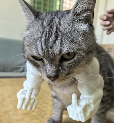 Katze Mit Muskulösen Armen - 3D-Gedrucktes Lustiges Haustierkostüm-Prop Für Katzen Und Kleine Hunde, Riesenhand-Muskel-Arm-Kostüm Für Katzen Zu Halloween Und Geburtstagspartys (weiß, Finger) von TPFOON