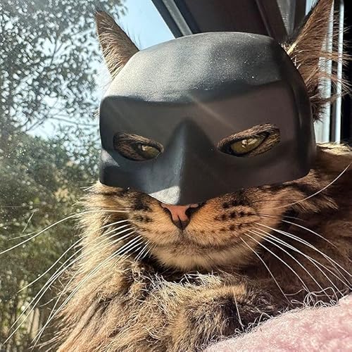 Katzen-Held-Clown-Maske, Große Fledermaus-Kopf-Form in Schwarz – Für Katzens, Passend Zu Halloween & Haustiergeburtstagen, Katzen-Fledermaus-Hut von TPFOON