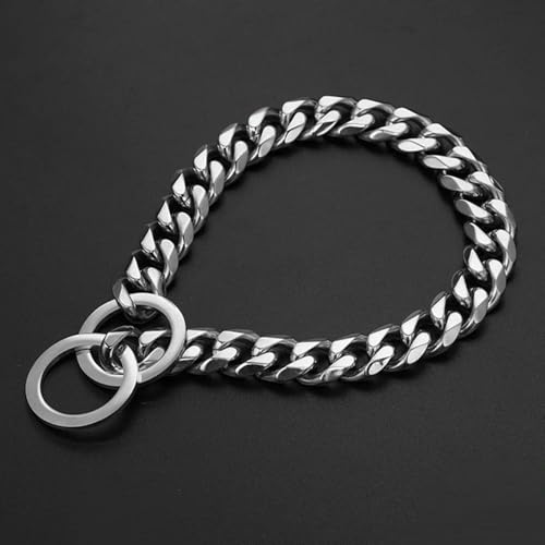 TPIONEER 15 mm Starkes Hundetrainingshalsband aus Metall, Würgekette aus Edelstahl für Pitbulls und Bulldoggen großer Rassen – Silber und Gold von TPIONEER