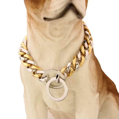 TPIONEER 15 mm breite kubanische Gliederkette für Hunde, goldfarbenes, strapazierfähiges Metallhalsband mit Schlupfkette, modisches Haustierschmuck-Accessoire TPIONEER 15 mm breite kubanische Gliederkette für Hunde, goldfarbenes, strapazierfähiges Metallhalsband mit Schlupfkette, modisches Haustierschmuck-Accessoire von TPIONEER