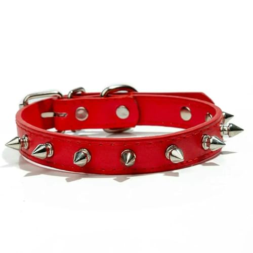 TPIONEER Hundehalsbänder für kleine Hunde, mit Spikes, Pu-Leder, mit Nieten besetzt, Welpenhalsband für kleine Hunderassen, männliche Hunde, Katzen, Chihuahua TPIONEER Hundehalsbänder für kleine Hunde, mit Spikes, Pu-Leder, mit Nieten besetzt, Welpenhalsband für kleine Hunderassen, männliche Hunde, Katzen, Chihuahua von TPIONEER