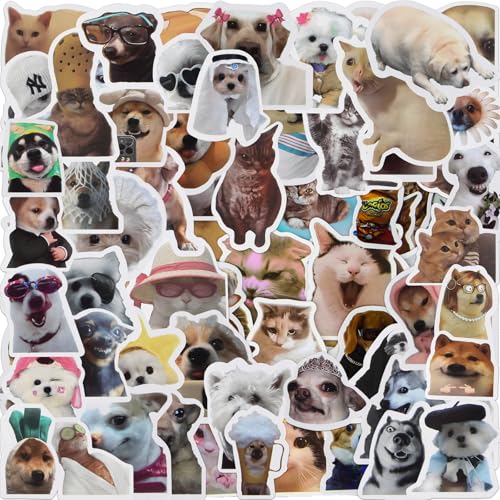 TPTGIAR 113 Stück Lustiges Meme Sticker Set, Katzen Sticker für Erwachsene Kinder, Wasserfester Stickers Meme, Cute Stickers für Skateboard Laptop Koffer Helm Motorrad Auto Fahrrad Hand TPTGIAR 113 Stück Lustiges Meme Sticker Set, Katzen Sticker für Erwachsene Kinder, Wasserfester Stickers Meme, Cute Stickers für Skateboard Laptop Koffer Helm Motorrad Auto Fahrrad Hand von TPTGIAR