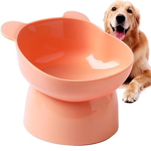 TQEBWUS Erhöhter Katzennapf Erhöht Hundenapf 11.5CM ABS Gekippte Katzenfutternäpfe, Erhöhte Futternäpfe Für Katzen Haustiere, Futternapf Katze Fressnapf Katze Katzennäpfe Katzenschüssel, Auslaufsicher TQEBWUS Erhöhter Katzennapf Erhöht Hundenapf 11.5CM ABS Gekippte Katzenfutternäpfe, Erhöhte Futternäpfe Für Katzen Haustiere, Futternapf Katze Fressnapf Katze Katzennäpfe Katzenschüssel, Auslaufsicher von TQEBWUS