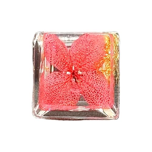 1 x Tastaturkappe, Persönlichkeit, transparent, Goldfolien, Stickerei, OEM-Profil, R4s, Gaming-Tastaturen, personalisierbar, Harze, handgefertigte Harze, mechanische Tastenkappen 1 x Tastaturkappe, Persönlichkeit, transparent, Goldfolien, Stickerei, OEM-Profil, R4s, Gaming-Tastaturen, personalisierbar, Harze, handgefertigte Harze, mechanische Tastenkappen von TQUXNGA