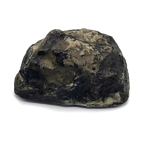 TQUXNGA Money Secret Home Simulation Stone Aufbewahrungsbox Safe Container Versteck Versteckte Aufbewahrung Geheimfach von TQUXNGA