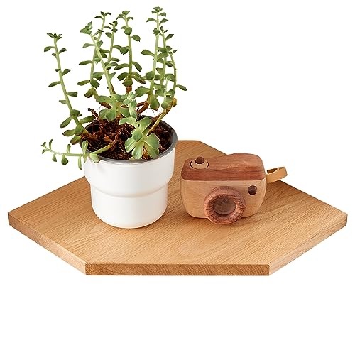 TQVLNMCR Schwebendes Eckregal aus Eiche mit verstecktem Kabelkanal, Eckregale aus Massivholz zur Wandmontage for Badezimmer, Küche, Schlafzimmer, Wohnzimmer(9 inch) von TQVLNMCR