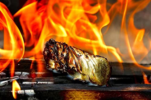 TR-FLAMES 2,5kg Bio Anzündwolle Kaminanzünder Grill Holz Anzünder Holzwolle Feueranzünder Feuer Anzündwürfel TR-FLAMES 2,5kg Bio Anzündwolle Kaminanzünder Grill Holz Anzünder Holzwolle Feueranzünder Feuer Anzündwürfel von TR-FLAMES