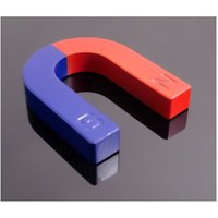 Trade Shop - 2 X MAGNET DIDACTIC CALAMITA 30MM FORMA DI U POSITIVO E NEGATIVO NORD SUD - Trade Shop - 2 X MAGNET DIDACTIC CALAMITA 30MM FORMA DI U POSITIVO E NEGATIVO NORD SUD - von TRADE SHOP TRAESIO