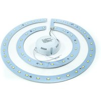 Trade Shop - LED Ring Panel SMD Umbausatz Lampe Doppelring Deckenleuchte Neonlicht - von TRADE SHOP TRAESIO