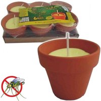 Trade Shop - 6 Stück Citronella in Terrakotta-Glas Durchmesser 7 cm Mückenschutz - Trade Shop - 6 Stück Citronella in Terrakotta-Glas Durchmesser 7 cm Mückenschutz - von TRADE SHOP TRAESIO