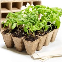 Trade Shop Traesio - Trade Shop - biologisch abbaubare töpfe für setzlinge pflanzen blumen saatbeet 40PCS 6X6X4.5CM - von TRADE SHOP TRAESIO