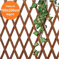 Trade Shop Traesio - Trade Shop - Ausziehbares Netzgitter aus dunklem Holz für Gartenmauerpflanzen 100 x 200 - von TRADE SHOP TRAESIO