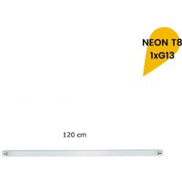 Trade Shop Traesio - Trade Shop - reglette led neon deckenleuchte T8 innenrohr G13 120 cm wand decke T8-120A - von TRADE SHOP TRAESIO