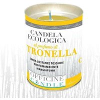 Trade Shop Traesio - Trade Shop - set mit 12 ökologischen kerzen mit citronella-duft anti-mücken 6 x 8 cm - Trade Shop Traesio - Trade Shop - set mit 12 ökologischen kerzen mit citronella-duft anti-mücken 6 x 8 cm - von TRADE SHOP TRAESIO