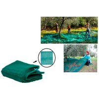 Trade Shop - set 3PZ rete per raccolta olive frutta piantagion resistente durevole 3X6MT verde 222269 - von TRADE SHOP TRAESIO