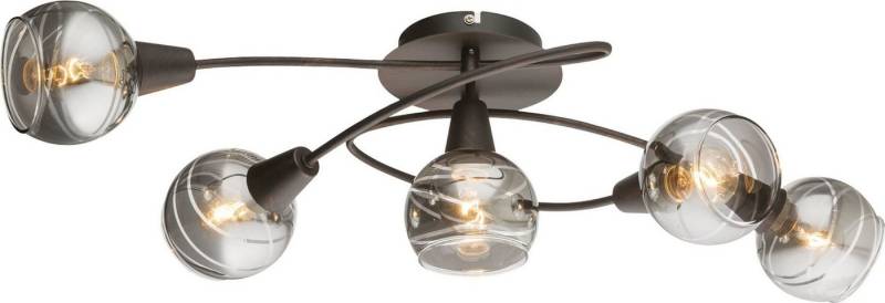 TRANGO LED Deckenleuchte, 5-flammig 1010-55SD LED Deckenleuchte in Schwarz-Optik *WOW* inkl. 5x 3-Stufen dimmbar LED Leuchtmittel 3000K warmweiß, Deckenlampe mit Design rauchigen Glaslampenschirmen, Deckenstrahler, Wohnzimmer Lampe, Spots schwenkbar von TRANGO
