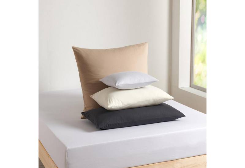TRAUMSCHLAF Bettwäsche Basic Single Jersey Kissenbezug, Jersey, 1 teilig, bügelfreie Qualität für das ganze Jahr TRAUMSCHLAF Bettwäsche Basic Single Jersey Kissenbezug, Jersey, 1 teilig, bügelfreie Qualität für das ganze Jahr von TRAUMSCHLAF