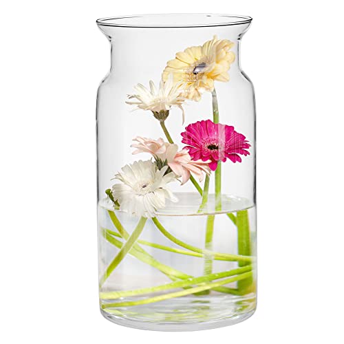 TREND FOR HOME Große Glasvase Hoch 29.5 cm Blumenvase Gross Bodenvase Glas Große Vase Amaryllis Vase Tulpen Runde Glasvase Zylinder Durchsichtig Große Vasen für Boden | Ø 16 cm | Sunflower von TREND FOR HOME