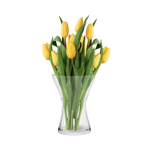 TREND FOR HOME Blumenvase Vase Glas 19 cm Glasvase für Blumen Glasblumenvase Tischvase Dekovase Klarglasvase Deko-Vase aus Glas Wohnzimmer Deko Dekorative Vase | Aster | 1325 ml von TREND FOR HOME