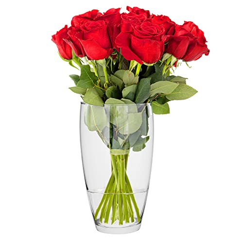 TREND FOR HOME Blumenvase Rose Glas 25 cm Bodenvase Gross Vase Glas Rose Glasvase für Blumen Glasblumenvase Tischvase Dekovase Klarglasvase Dekorative Vase | ⌀ 13.7 cm | 2834 ml | Leilani von TREND FOR HOME