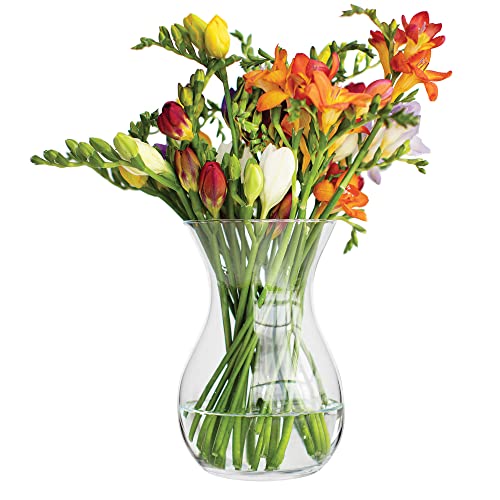 TREND FOR HOME Blumenvase Vase Glas Glasvase für Blumen Glasblumenvase Tischvase Dekovase Klarglasvase Deko-Vase aus Glas Wohnzimmer Deko Dekorative Vase | H. 18 cm | Poppy | 1229 ml von TREND FOR HOME