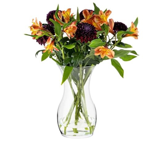 TREND FOR HOME Blumenvase 25 cm Vase für Tulpen, Glasvase für Blumen, Tischvase Dekovase Klarglasvase Deko für Wohnzimmer | ⌀ 14 cm | 2410 ml | Lily von TREND FOR HOME