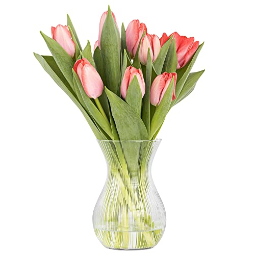 TREND FOR HOME Blumenvase 18 cm Vase für Tulpen Tulpenvase Glasvase für Blumen Glasblumenvase Tischvase Dekovase Klarglasvase Längsstreifen Dekorative Vase | ⌀ 11 cm | 1229 ml | Lyra Luminous von TREND FOR HOME