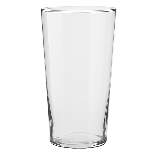 TREND FOR HOME Blumenvase Modern H: 29.5 cm Glasvase Konisch BodenvaseBlumenvase Glas Vase für Pampasgras Skandinavische Deko Boho Vase | Transparent | Ø 16 cm | Alyssa von TREND FOR HOME
